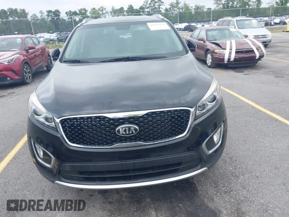 ✅ 2017 Kia Sorento EX • VIN: 5XYPH4A51HG204191 • Лот: 42947630. Опубликован ранее на IAAI с пробегом 103 313 миль. Бесплатный доступ к архиву аукционных продаж из США и подробный отчёт об истории автомобиля на DreamBid. Изображение 12.