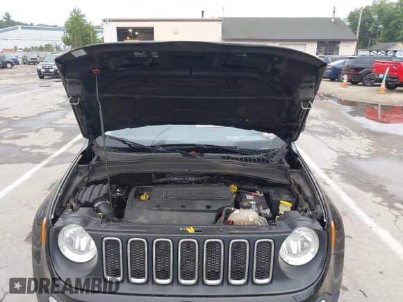 ✅ 2016 Jeep Renegade Sport • VIN: ZACCJBAW9GPD39479 • Lot: 42690757. Wystawiony na IAAI z przebiegiem 152 326 mil. Bezpłatny archiwum sprzedaży aukcyjnych z USA i szczegółowy raport historii pojazdu na DreamBid. Zdjęcie 10.