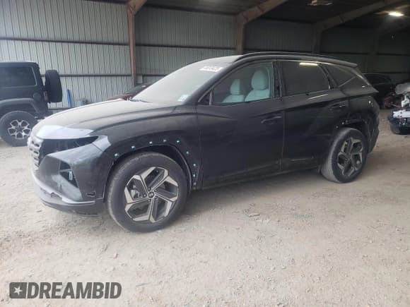 ✅ 2023 Hyundai Tucson SEL • VIN: 5NMJF3AE6PH219991 • Lot: 44013423. Wystawiony na Copart z przebiegiem 1 381 mil. Bezpłatny archiwum sprzedaży aukcyjnych z USA i szczegółowy raport historii pojazdu na DreamBid. Zdjęcie 1.