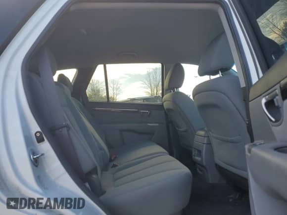 ✅ 2010 Hyundai Santa Fe GLS • VIN: 5NMSGDAB7AH366485 • Lot: 90644945. Wystawiony na Copart z przebiegiem 96 405 mil mil. Skorzystaj z bezpłatnego archiwum sprzedaży aukcyjnych z USA i zobacz szczegółowy raport historii pojazdu na DreamBid. Zdjęcie 10.
