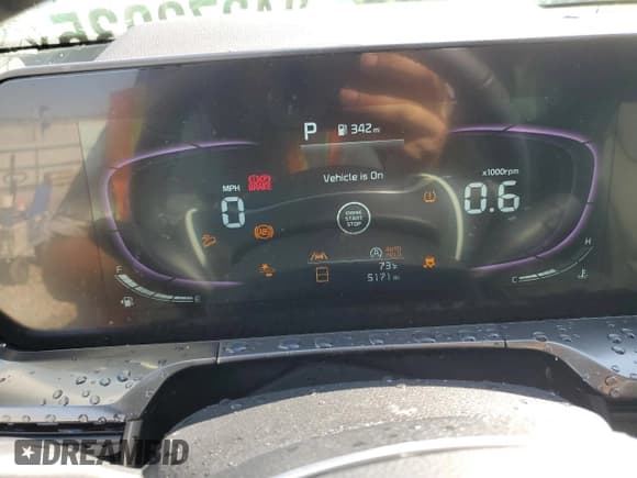 ✅ 2025 Kia Telluride S • VIN: 5XYP6DGCXSG570489 • Lot: 84373035. Listed on Copart with 5,171 mi. Free auction sales archive from the USA and detailed vehicle history report at DreamBid. Image 9.