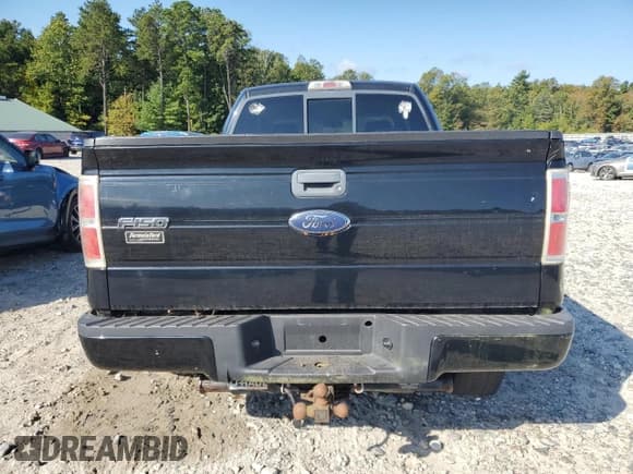 ✅ 2009 Ford F-150 STX • VIN: 1FTRX14W99FA29319 • Lot: 81310685. Wystawiony na Copart z przebiegiem 175 451 mil. Bezpłatny archiwum sprzedaży aukcyjnych z USA i szczegółowy raport historii pojazdu na DreamBid. Zdjęcie 6.