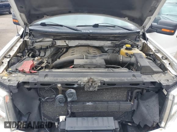 ✅ 2013 Ford F-150 XL • VIN: 1FTFX1ET4DFD31973 • Lot: 53285255. Wystawiony na Copart z przebiegiem 201 594 mil. Bezpłatny archiwum sprzedaży aukcyjnych z USA i szczegółowy raport historii pojazdu na DreamBid. Zdjęcie 11.