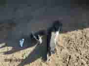 2016 Subaru Forester Limited z VIN JF2SJAHC5GH408873, wystawiony jako Copart lot #53404245 z przebiegiem 109 496 mil mil oraz Szkoda całkowita • Salvage title. Historia ofert i sprzedaży dostępna na DreamBid. Obrazek 15.