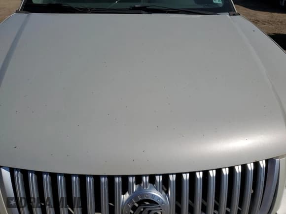 ✅ 2008 Mercury Sable Premier • VIN: 1MEHM42W98G618435 • Лот: 70906375. Опубликован ранее на Copart с пробегом Не указан. Бесплатный доступ к архиву аукционных продаж из США и подробный отчёт об истории автомобиля на DreamBid. Изображение 11.