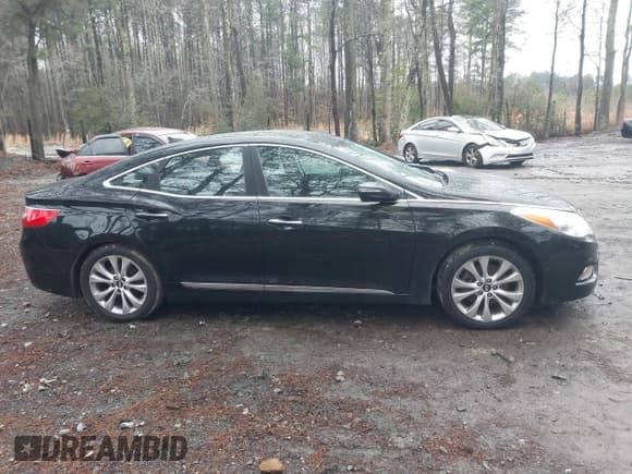 ✅ 2014 Hyundai Azera Limited • VIN: KMHFH4JG3EA376873 • Lot: 41530698. Listed on IAAI with 94,263 mi. Free auction sales archive from the USA and detailed vehicle history report at DreamBid. Image 13.
