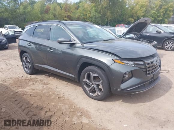 ✅ 2022 Hyundai Tucson Limited • VIN: KM8JECA1XNU031248 • Lot: 43256468. Listed on IAAI with 54,250 mi. Free auction sales archive from the USA and detailed vehicle history report at DreamBid. Image 1.