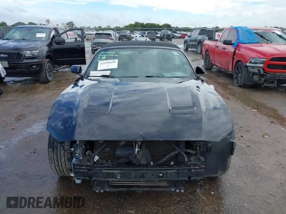 ✅ 2019 Ford Mustang EcoBoost • VIN: 1FATP8UHXK5182003 • Lot: 43299698. Listed on IAAI with 95,940 mi. Free auction sales archive from the USA and detailed vehicle history report at DreamBid. Image 12.