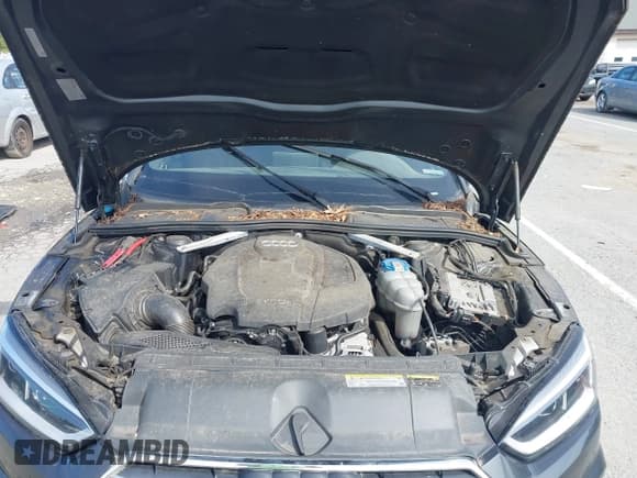 ✅ 2018 Audi A5 Sportback Premium Plus • VIN: WAUENCF58JA088851 • Lot: 43166457. Listed on IAAI with 112,424 mi. Free auction sales archive from the USA and detailed vehicle history report at DreamBid. Image 10.