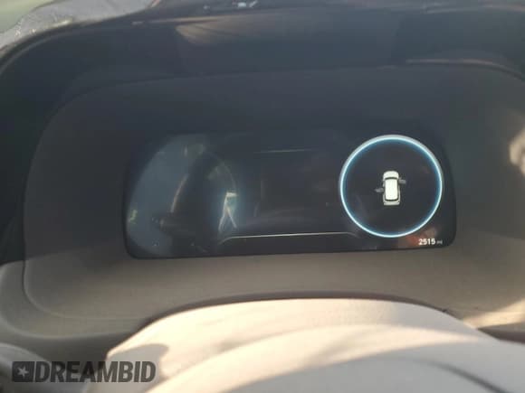 ✅ 2024 Hyundai Palisade Calligraphy • VIN: KM8R74GE8RU729019 • Lot: 82530944. Listed on Copart with 2,515 mi. Free auction sales archive from the USA and detailed vehicle history report at DreamBid. Image 9.