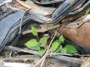 ✅ 2012 Jeep Grand Cherokee Overland • VIN: 1C4RJFCG8CC245390 • Lot: 67200305. Listed on Copart with Not provided. Free auction sales archive from the USA and detailed vehicle history report at DreamBid. Image 11.