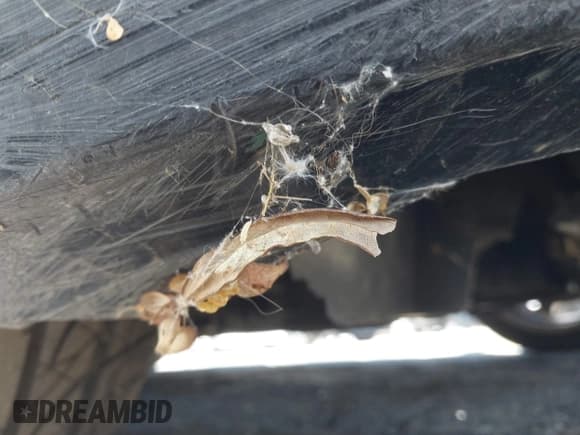 ✅ 2012 Hyundai Genesis Coupe Premium • VIN: KMHHT6KD2CU074431 • Lot: 43035548. Listed on IAAI with 202,526 mi. Free auction sales archive from the USA and detailed vehicle history report at DreamBid. Image 14.