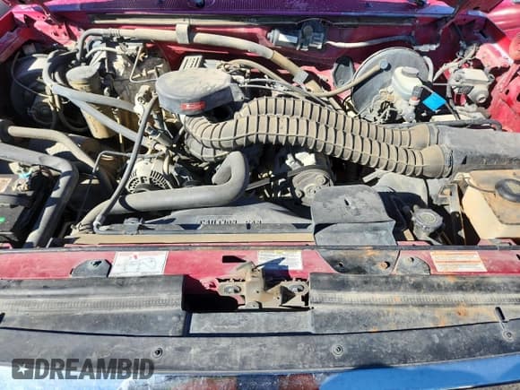 ✅ 1995 Ford F-150 • VIN: 1FTEX14H8SKA59117 • Lot: 86333255. Wystawiony na Copart z przebiegiem 151 432 mil. Bezpłatny archiwum sprzedaży aukcyjnych z USA i szczegółowy raport historii pojazdu na DreamBid. Zdjęcie 11.