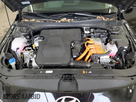 ✅ 2025 Hyundai Elantra Limited • VIN: KMHLN4DJXSU166011 • Lot: 91218875. Wystawiony na Copart z przebiegiem 10 446 mil. Bezpłatny archiwum sprzedaży aukcyjnych z USA i szczegółowy raport historii pojazdu na DreamBid. Zdjęcie 11.