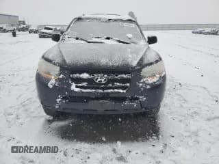 ✅ 2008 Hyundai Santa Fe GLS • VIN: 5NMSG13D28H210779 • Lot: 85106504. Listed on Copart with 125,215 mi. Free auction sales archive from the USA and detailed vehicle history report at DreamBid. Image 5.