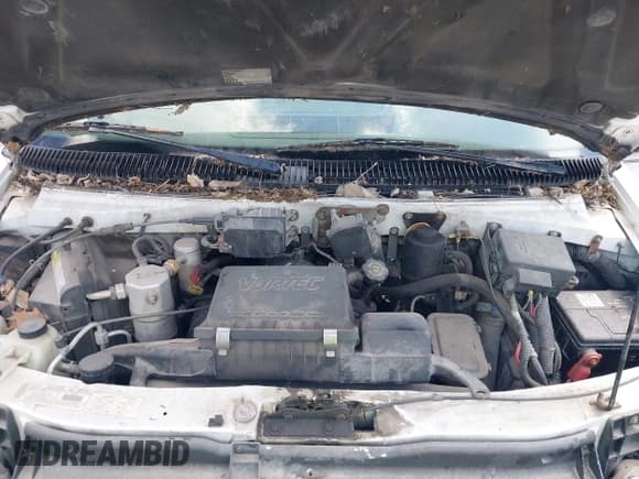 ✅ 2000 GMC Safari • VIN: 1GKDM19W8YB542535 • Лот: 42660992. Опубликован ранее на IAAI с пробегом 214 528 миль. Бесплатный доступ к архиву аукционных продаж из США и подробный отчёт об истории автомобиля на DreamBid. Изображение 10.