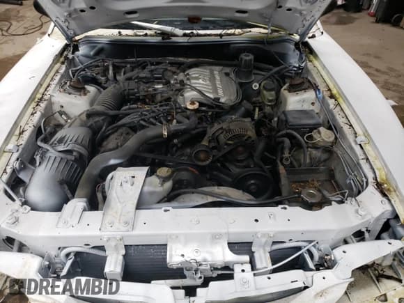 ✅ 1995 Ford Mustang • VIN: 1FALP404XSF266697 • Lot: 47772545. Listed on Copart with 97,995 mi. Free auction sales archive from the USA and detailed vehicle history report at DreamBid. Image 11.