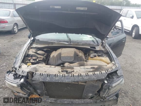 ✅ 2015 Dodge Charger Road/Track • VIN: 2C3CDXCT3FH819884 • Лот: 42101253. Опубликован ранее на IAAI с пробегом Не указан. Бесплатный доступ к архиву аукционных продаж из США и подробный отчёт об истории автомобиля на DreamBid. Изображение 10.