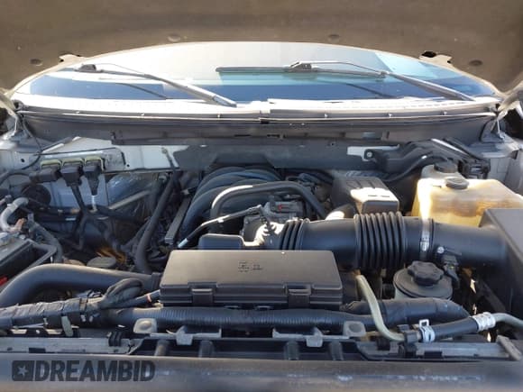 ✅ 2010 Ford F-150 XL • VIN: 1FTEW1E81AFC02756 • Lot: 43632388. Listed on IAAI with 227,833 mi. Free auction sales archive from the USA and detailed vehicle history report at DreamBid. Image 10.