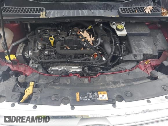 ✅ 2019 Ford Escape SE • VIN: 1FMCU0GD8KUC47008 • Lot: 43550142. Wystawiony na IAAI z przebiegiem 93 298 mil. Bezpłatny archiwum sprzedaży aukcyjnych z USA i szczegółowy raport historii pojazdu na DreamBid. Zdjęcie 10.