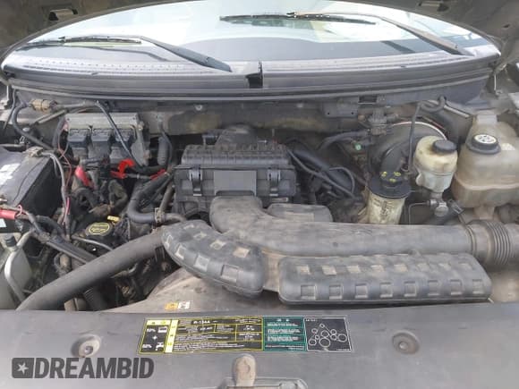 ✅ 2004 Ford F-150 XLT • VIN: 1FTPX14594NB38702 • Lot: 42924200. Listed on IAAI with Not provided. Free auction sales archive from the USA and detailed vehicle history report at DreamBid. Image 10.