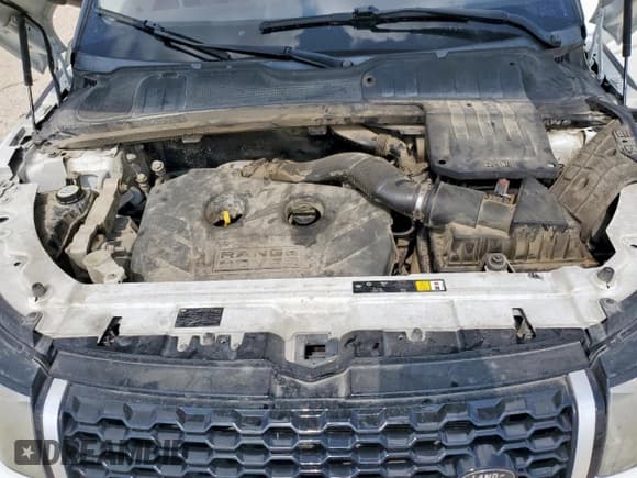 ✅ 2012 Land Rover Range Rover Evoque Prestige Premium • VIN: SALVV2BG4CH670405 • Lot: 59004685. Listed on Copart with 141,785 mi. Free auction sales archive from the USA and detailed vehicle history report at DreamBid. Image 12.