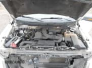 ✅ 2009 Ford F-150 XL • VIN: 1FTPW14V09FA47340 • Лот: 43721450. Опубликован ранее на IAAI с пробегом 247 063 миль. Бесплатный доступ к архиву аукционных продаж из США и подробный отчёт об истории автомобиля на DreamBid. Изображение 10.