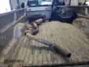 2008 Chevrolet Silverado 1500 Work Truck with VIN 1GCEC14C88E146393, listed as a Copart auction lot 59934714 with 240,847 mi miles and Salvage title. Bid and sale history available at DreamBid. Image 12.