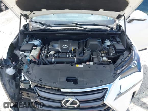 ✅ 2017 Lexus NX 200t • VIN: JTJBARBZ5H2101943 • Lot: 43163612. Wystawiony na IAAI z przebiegiem 140 613 mil. Bezpłatny archiwum sprzedaży aukcyjnych z USA i szczegółowy raport historii pojazdu na DreamBid. Zdjęcie 10.