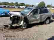 2007 Hyundai Tucson SE z VIN KM8JN72D27U640529, wystawiony jako Copart lot #72318784 z przebiegiem Nie podano mil oraz Szkoda całkowita • Salvage title. Historia ofert i sprzedaży dostępna na DreamBid. Obrazek 1.