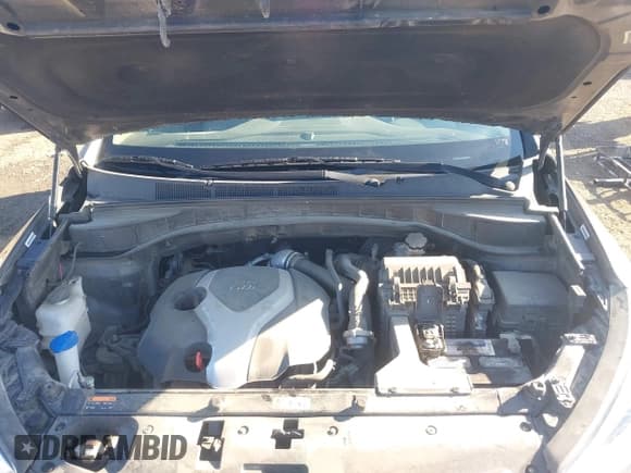 ✅ 2014 Hyundai Santa Fe • VIN: 5XYZUDLA7EG224567 • Лот: 43256294. Опубликован ранее на IAAI с пробегом Не указан. Бесплатный доступ к архиву аукционных продаж из США и подробный отчёт об истории автомобиля на DreamBid. Изображение 10.