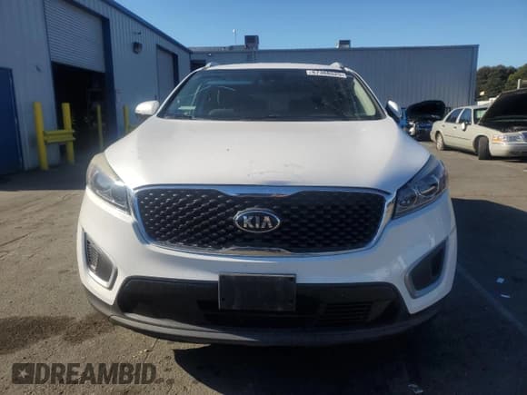 ✅ 2017 Kia Sorento LX • VIN: 5XYPG4A51HG297460 • Lot: 87388525. Listed on Copart with 138,898 mi. Free auction sales archive from the USA and detailed vehicle history report at DreamBid. Image 5.