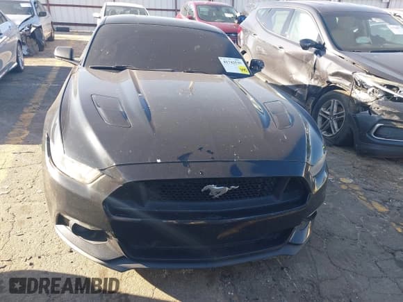 ✅ 2017 Ford Mustang GT • VIN: 1FA6P8CF9H5273592 • Лот: 41742539. Опубликован ранее на IAAI с пробегом 189 094 миль. Бесплатный доступ к архиву аукционных продаж из США и подробный отчёт об истории автомобиля на DreamBid. Изображение 12.