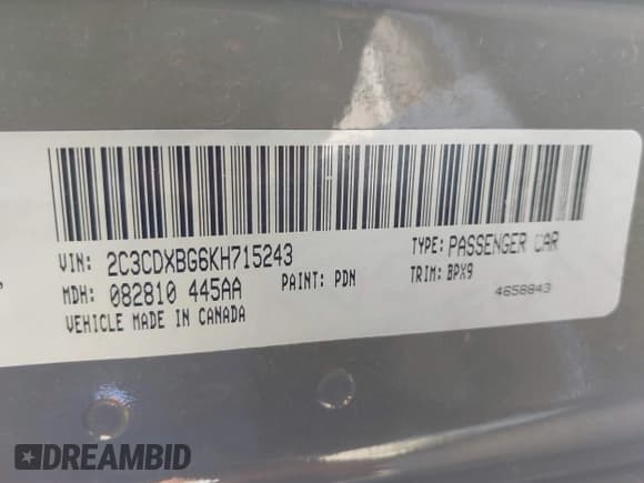 ✅ 2019 Dodge Charger SXT • VIN: 2C3CDXBG6KH715243 • Лот: 43238354. Опубликован ранее на IAAI с пробегом 87 353 миль. Бесплатный доступ к архиву аукционных продаж из США и подробный отчёт об истории автомобиля на DreamBid. Изображение 9.