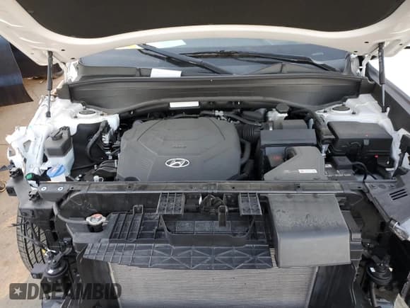 ✅ 2020 Hyundai Palisade Limited • VIN: KM8R54HE4LU091170 • Лот: 43480845. Опубликован ранее на Copart с пробегом 13 790 миль. Бесплатный доступ к архиву аукционных продаж из США и подробный отчёт об истории автомобиля на DreamBid. Изображение 11.