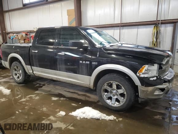✅ 2010 Dodge 1500 Sport • VIN: 1D7RV1CTXAS220312 • Lot: 43891315. Wystawiony na Copart z przebiegiem 349 829 mil. Bezpłatny archiwum sprzedaży aukcyjnych z USA i szczegółowy raport historii pojazdu na DreamBid. Zdjęcie 4.