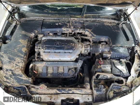 ✅ 2012 Acura TL Auto • VIN: 19UUA8F25CA034036 • Lot: 82748825. Listed on Copart with Not provided. Free auction sales archive from the USA and detailed vehicle history report at DreamBid. Image 11.