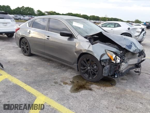 ✅ 2018 Nissan Altima SL • VIN: 1N4AL3AP5JC182311 • Lot: 43628576. Listed on IAAI with 117,950 mi. Free auction sales archive from the USA and detailed vehicle history report at DreamBid. Image 1.