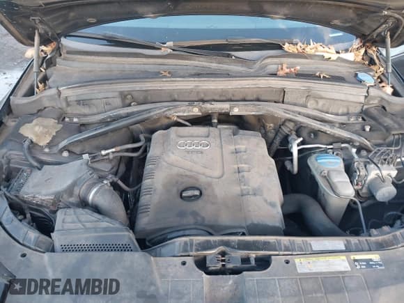 ✅ 2014 Audi Q5 Premium Plus • VIN: WA1LFAFP9EA030552 • Lot: 43928757. Listed on IAAI with 259,736 mi. Free auction sales archive from the USA and detailed vehicle history report at DreamBid. Image 10.