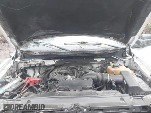 ✅ 2012 Ford F-150 XL • VIN: 1FTEX1CM7CFA99844 • Lot: 41995415. Listed on IAAI with 210,334 mi. Free auction sales archive from the USA and detailed vehicle history report at DreamBid. Image 10.