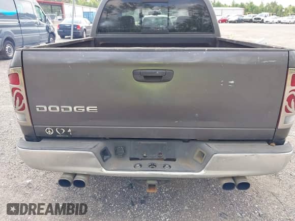 2002 Dodge 1500 ST z VIN 1D3HA18Z22J214386, wystawiony jako IAAI lot #42595976 z przebiegiem 410 608 mil mil oraz . Historia ofert i sprzedaży dostępna na DreamBid. Obrazek 16.