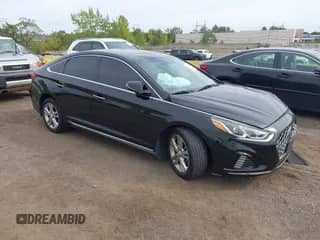2019 Hyundai Sonata SEL z VIN 5NPE34AF3KH773476, wystawiony jako IAAI lot #43259954 z przebiegiem 31 417 mil mil oraz . Historia ofert i sprzedaży dostępna na DreamBid. Obrazek 1.