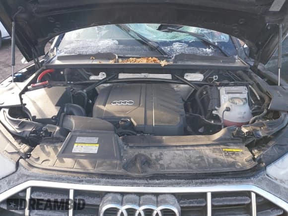 ✅ 2023 Audi Q5 Premium Plus • VIN: WA1BBAFY0P2085260 • Лот: 43711769. Опубликован ранее на IAAI с пробегом 50 088 миль. Бесплатный доступ к архиву аукционных продаж из США и подробный отчёт об истории автомобиля на DreamBid. Изображение 10.