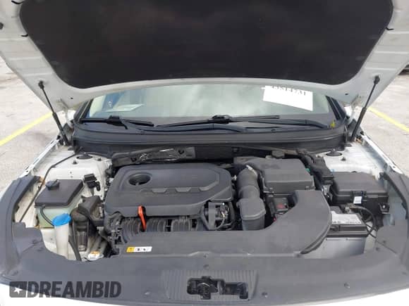 2015 Hyundai Sonata SE z VIN 5NPE24AF4FH212048, wystawiony jako IAAI lot #43514731 z przebiegiem 120 895 mil mil oraz . Historia ofert i sprzedaży dostępna na DreamBid. Obrazek 10.