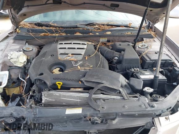 ✅ 2007 Hyundai Sonata SE • VIN: 5NPEU46F17H212500 • Лот: 41368333. Опубликован ранее на IAAI с пробегом 140 850 миль. Бесплатный доступ к архиву аукционных продаж из США и подробный отчёт об истории автомобиля на DreamBid. Изображение 10.