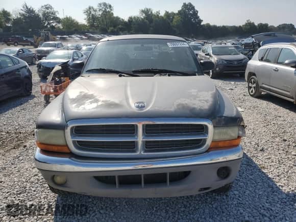 2001 Dodge Dakota Sport with VIN 1B7GG22N71S336152, listed as a Copart auction lot 70697244 with 256,693 mi miles and Salvage title. Bid and sale history available at DreamBid. Image 5.