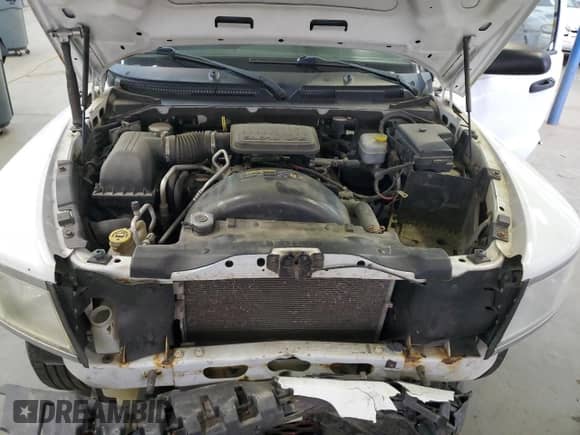 2010 Dodge Dakota ST with VIN 1D7CW2GK6AS125806, listed as a Copart auction lot 81616924 with 223,513 mi miles and Salvage title. Bid and sale history available at DreamBid. Image 12.