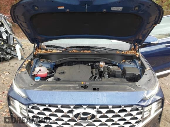 ✅ 2022 Hyundai Santa Fe SEL • VIN: 5NMS3DAJ1NH474819 • Lot: 43546610. Listed on IAAI with 24,937 mi. Free auction sales archive from the USA and detailed vehicle history report at DreamBid. Image 10.