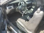 ✅ 2015 Ford Mustang GT Premium • VIN: 1FATP8FF4F5324573 • Lot: 50920815. Wystawiony na Copart z przebiegiem 82 187 mil. Bezpłatny archiwum sprzedaży aukcyjnych z USA i szczegółowy raport historii pojazdu na DreamBid. Zdjęcie 8.