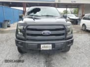 ✅ 2015 Ford F-150 XLT • VIN: 1FTEW1EF5FFB05257 • Lot: 59148515. Listed on Copart with 231,595 mi. Free auction sales archive from the USA and detailed vehicle history report at DreamBid. Image 5.